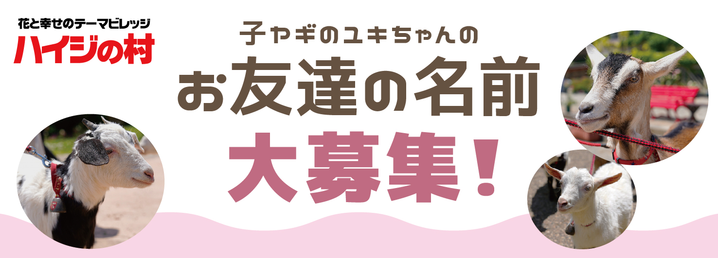 お名前募集中