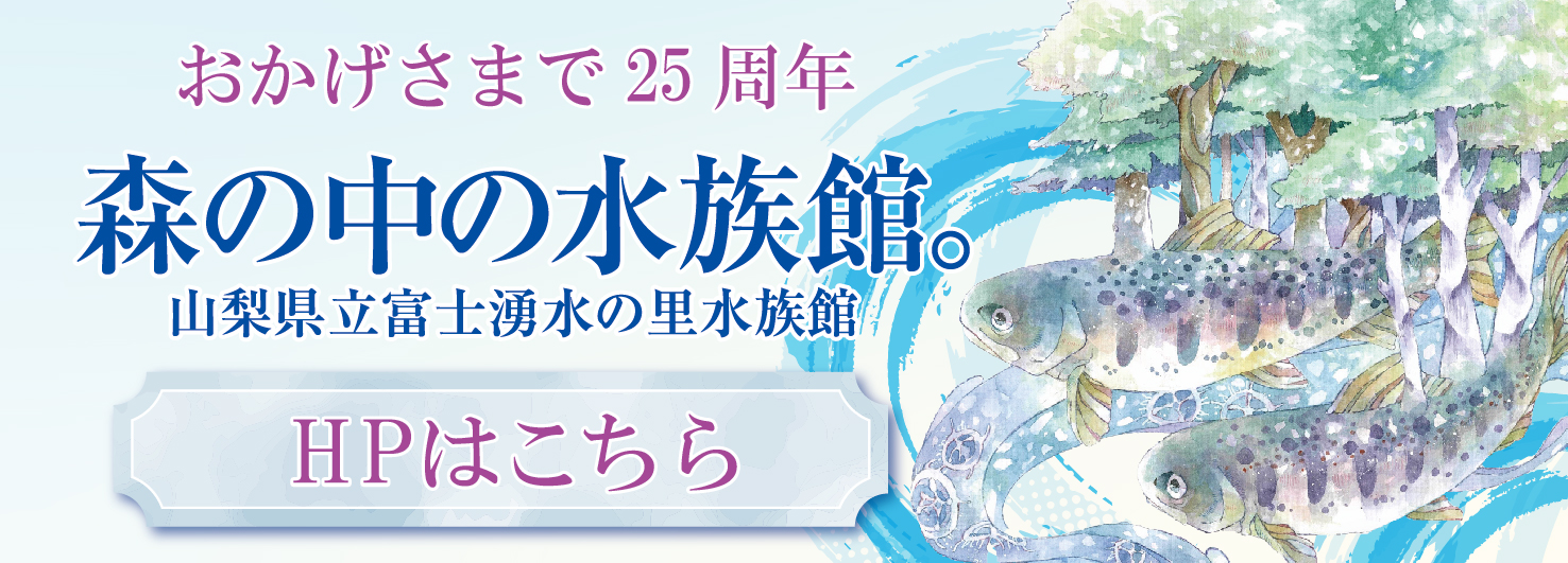 森の中の水族館。